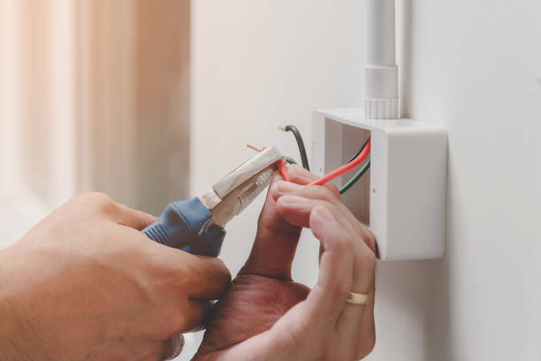 Best Smoke and Carbon Monoxide Detector Installation  in Stacy, MN